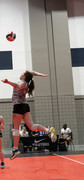 Vortex Volleyball Club 2026:  #5 Bailey Chapman 